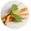 Panax Ginseng